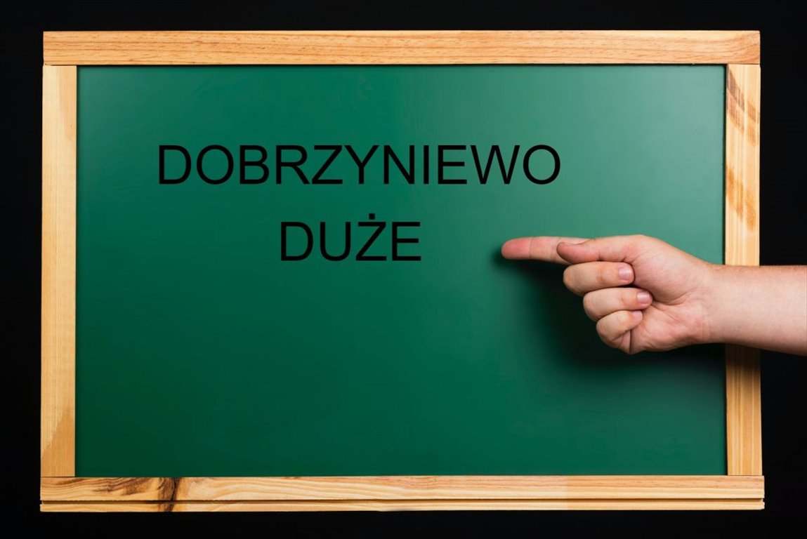 Działka gospodarstwo rolne na sprzedaż Dobrzyniewo Duże  2 000m2 Foto 1