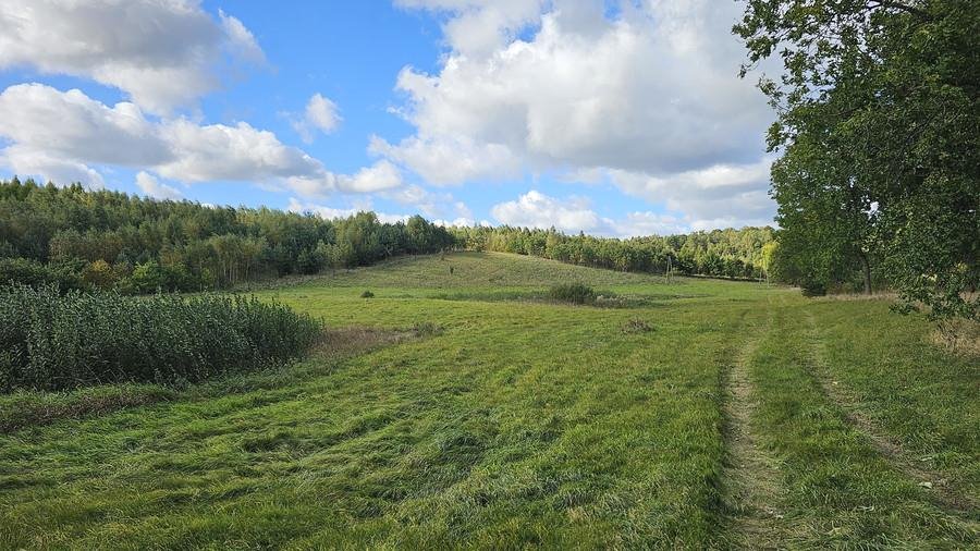 Działka budowlana na sprzedaż Łączno  1 199m2 Foto 5