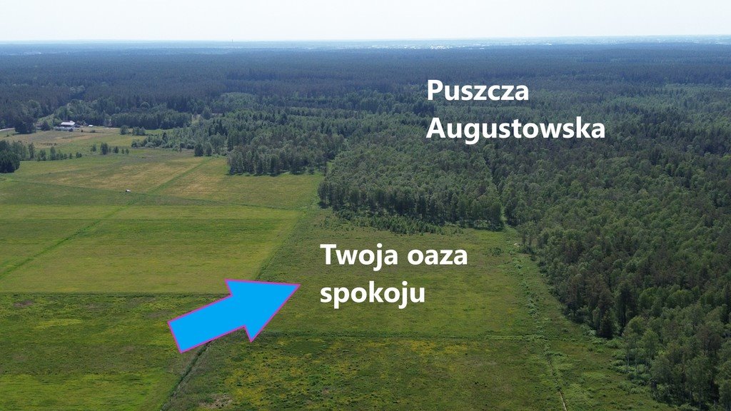 Działka rolna na sprzedaż Augustów  20 000m2 Foto 1