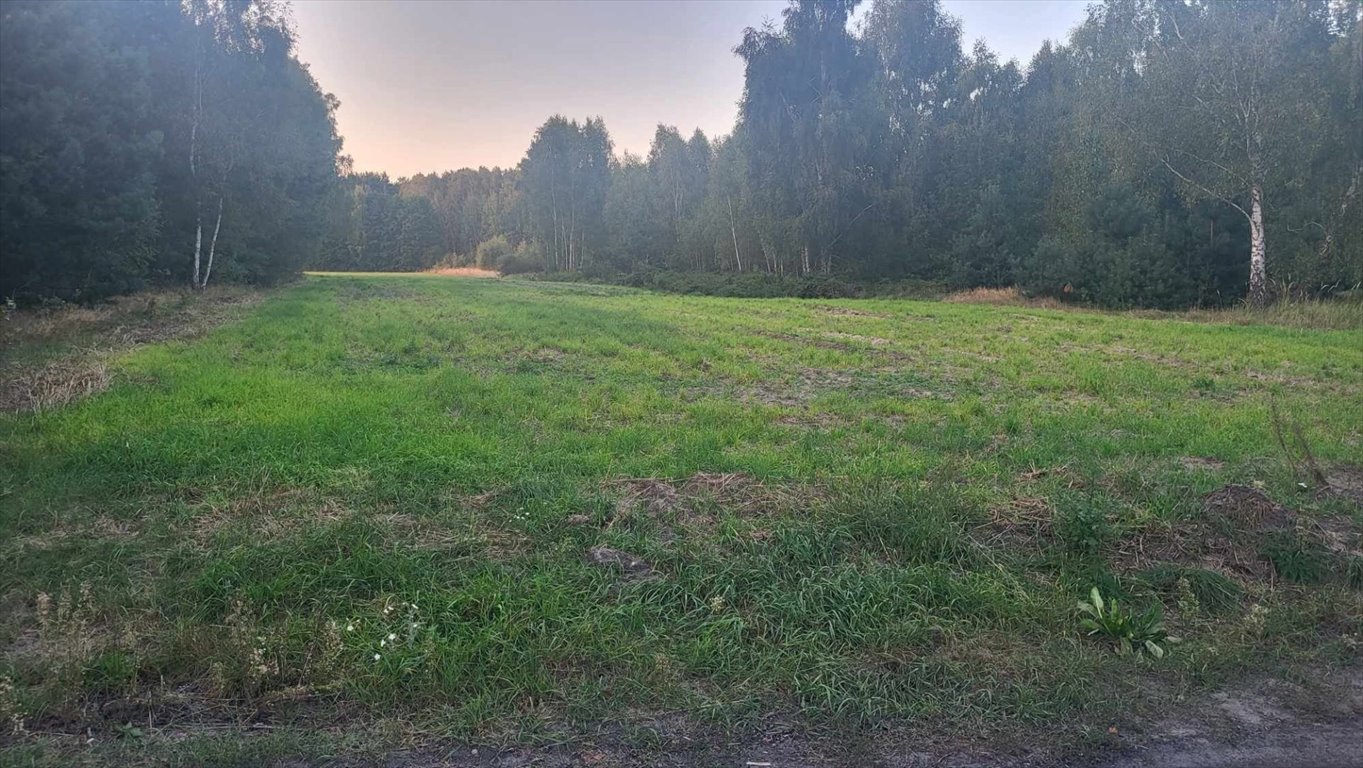 Działka z możliwością zabudowy, las, szybki dojazd Korczew  3 838m2 Foto 1