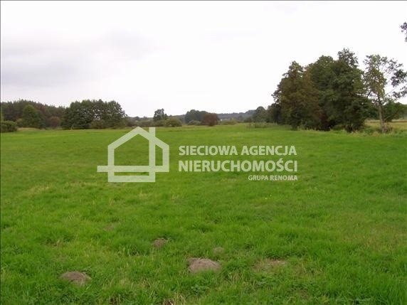 Działka budowlana na sprzedaż Pałubin 9 300m2 Foto 1 Działka budowlana na sprzedaż Pałubin 9 300m2 Foto 1
