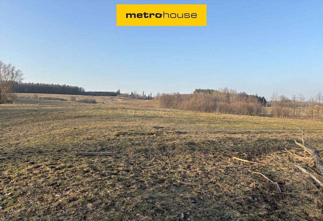 Działka 24 ha z siedliskiem do remontu w Tłokowie Tłokowo  235 300m2 Foto 1