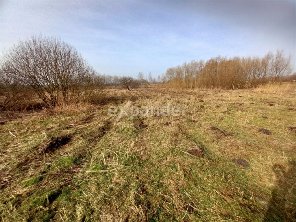 Działka budowlana na sprzedaż Niegowoniczki  3 672m2 Foto 1