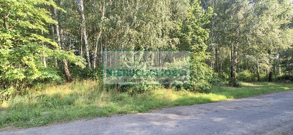 Zdjęcie 5