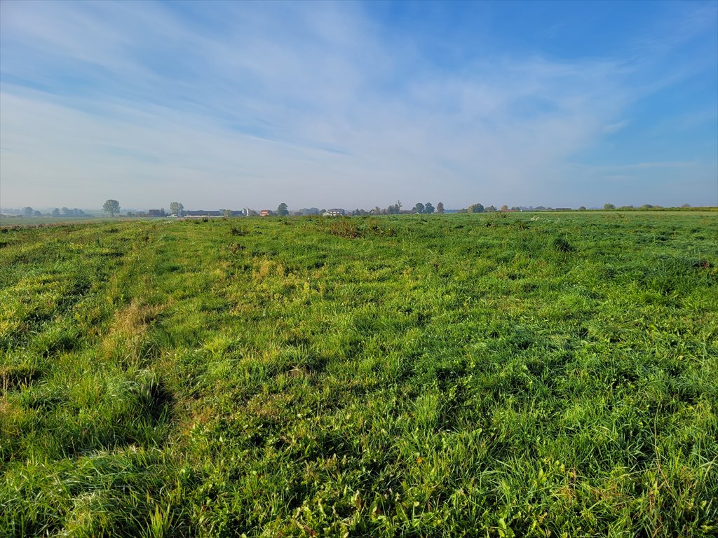 Działka rolna na sprzedaż Jędrzejów, Gozna  32 709m2 Foto 4