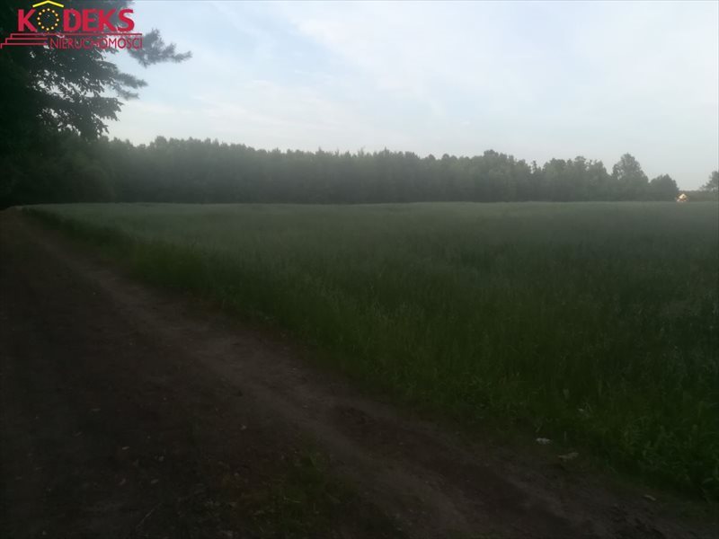 Działka rolna na sprzedaż Strzegocin 34 368m2 Foto 1 Działka rolna na sprzedaż Strzegocin 34 368m2 Foto 1