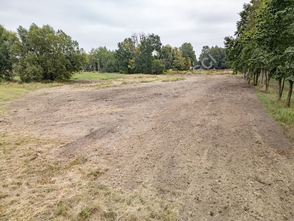 Zapraszam do zakupu działki 1586 m² w Chrzanowie Małym Chrzanów Mały  1 586m2 Foto 1