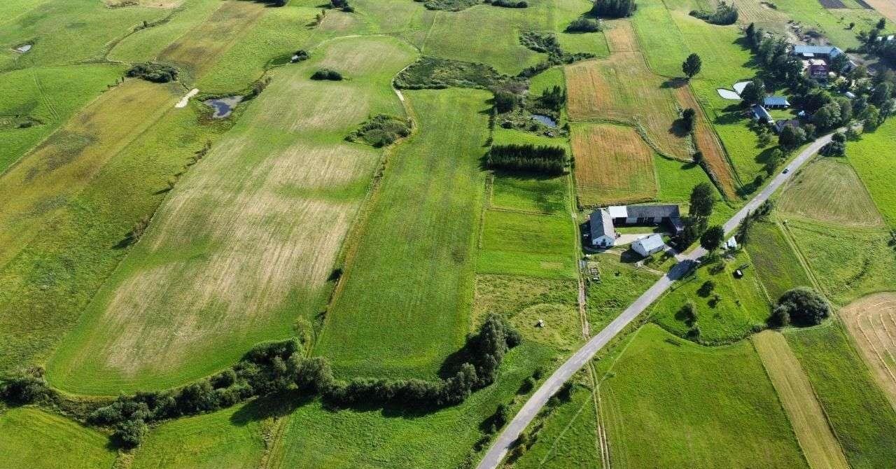 Działka rolna na sprzedaż Przerośl  37 400m2 Foto 4