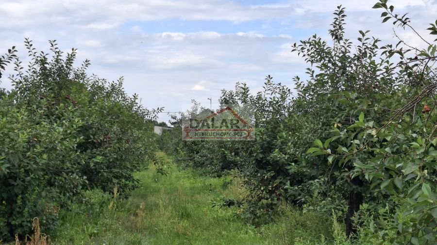 Działka budowlana na sprzedaż Grabów nad Pilicą, Kazimierza Pułaskiego  3 850m2 Foto 2