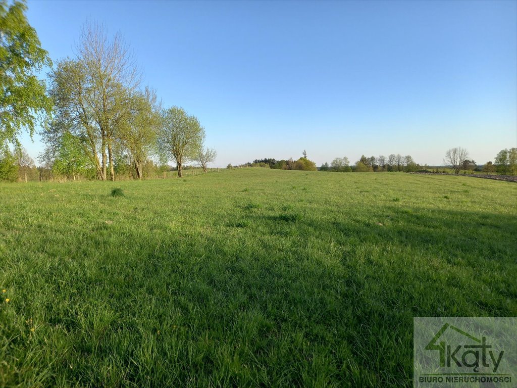Do sprzedania działka rolna 5,11 ha z możliwością zabudowy i fotowoltaiki Stryjkowo  51 100m2 Foto 1