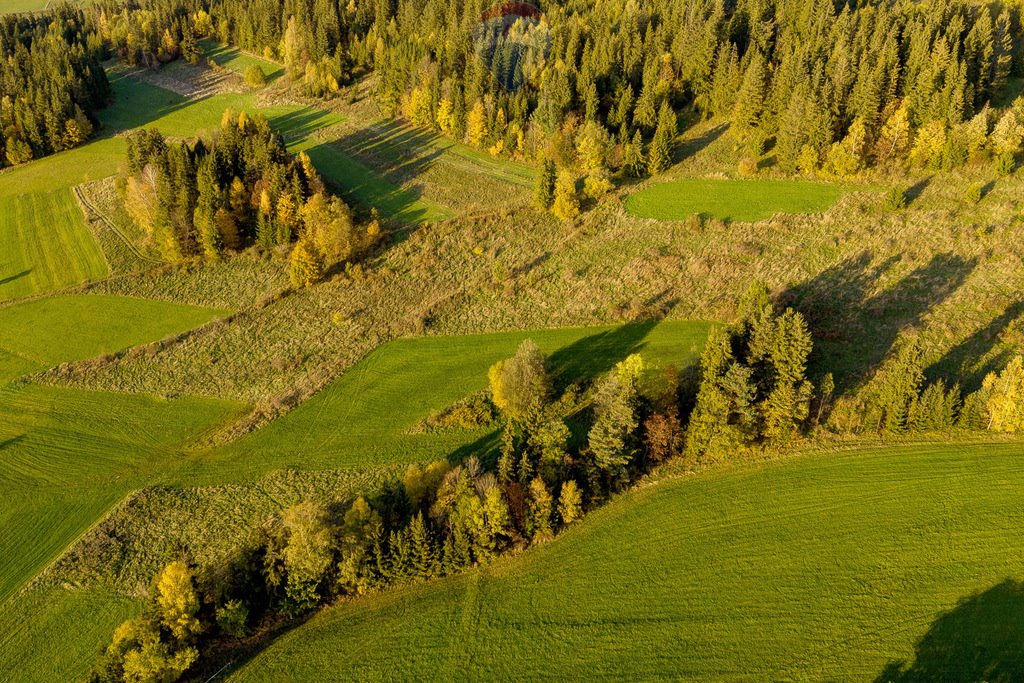 Działka rolna na sprzedaż Czarna Góra  1 105m2 Foto 6