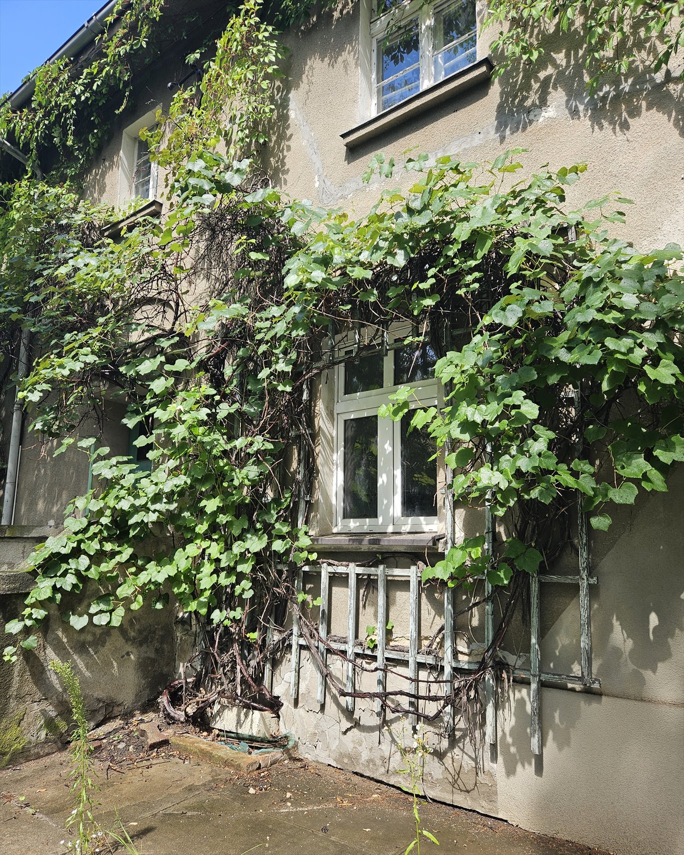 Dom na sprzedaż Wrocław, okolice pl. Kromera  199m2 Foto 1