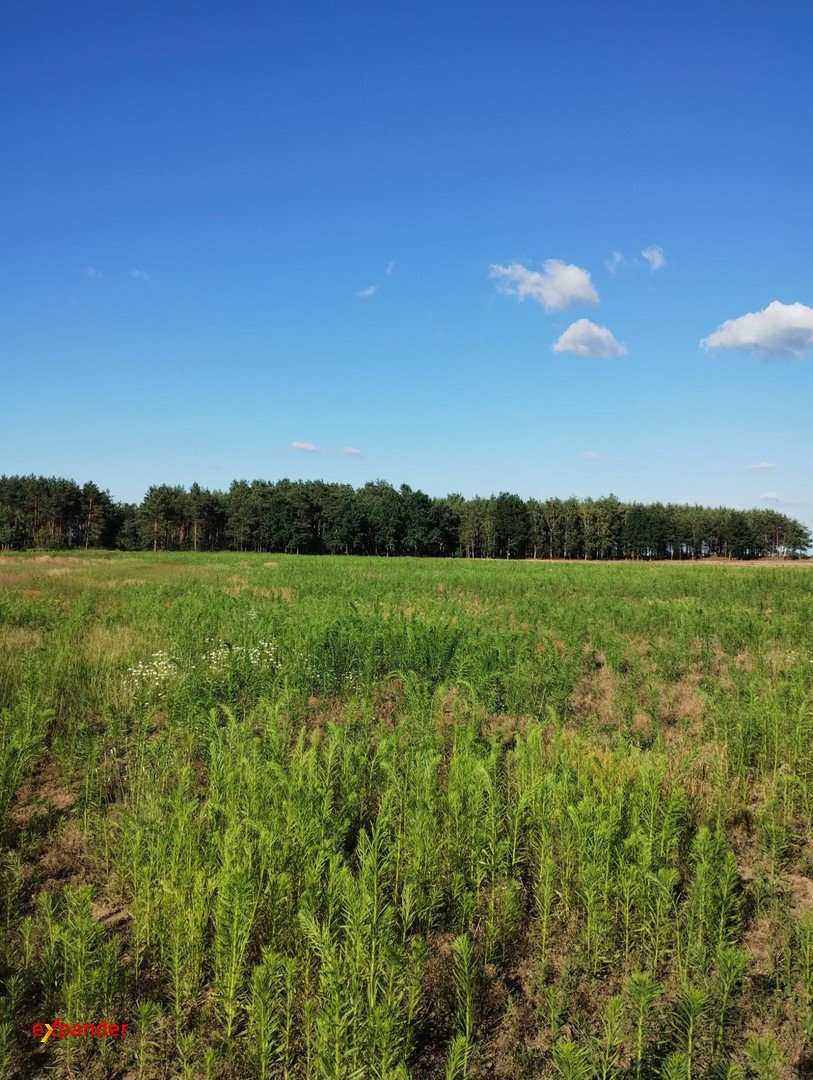 Duża działka 2,16 ha z wodą i energią w Blinno Blinno  21 600m2 Foto 1