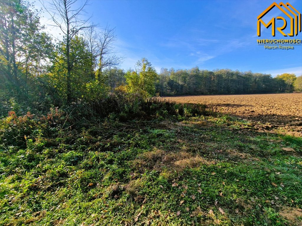 Działka inna na sprzedaż Sutków  15 100m2 Foto 9