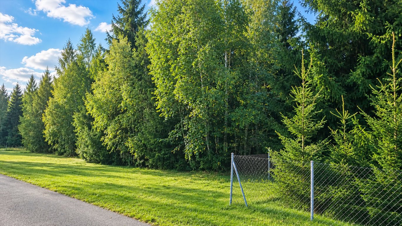 Na sprzedaż działka 4200 m² z możliwością podziału w Cholewach Cholewy  4 200m2 Foto 1