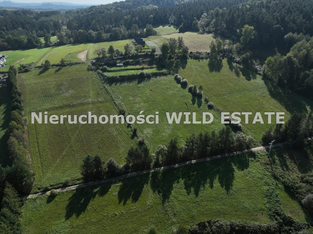 Działka rolna 3,1 ha z możliwością zabudowy w Berezce Solina, Berezka  3 100m2 Foto 1