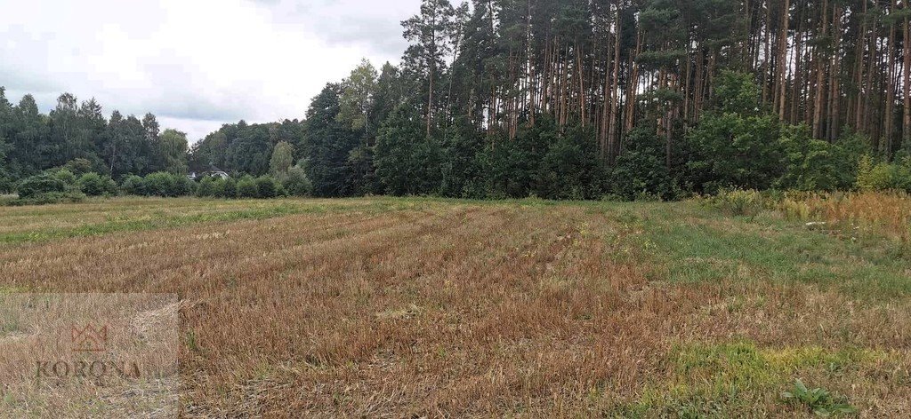 Działka rolna na sprzedaż Kudrycze  14 500m2 Foto 5