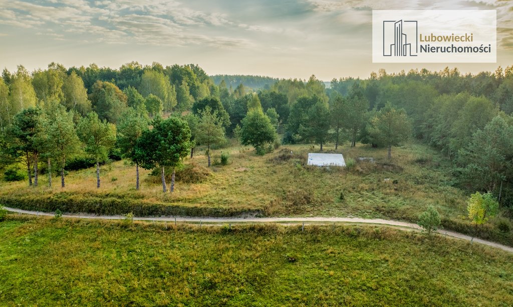 Działka budowlana na sprzedaż Siedliska  5 004m2 Foto 12