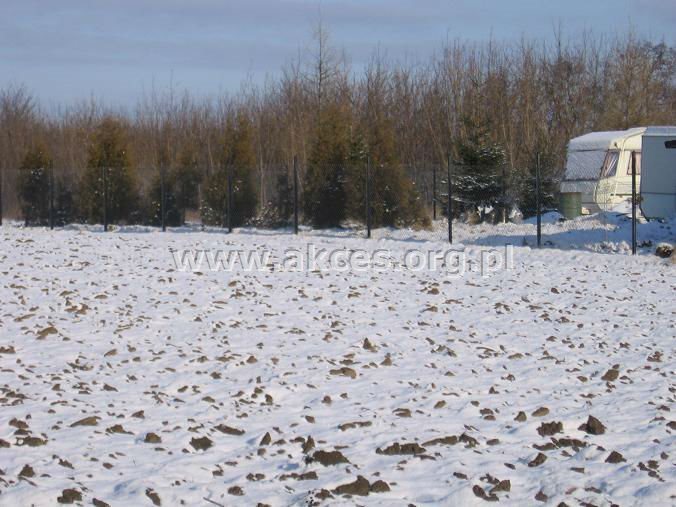 Działka rolna na sprzedaż Białuty  13 700m2 Foto 1