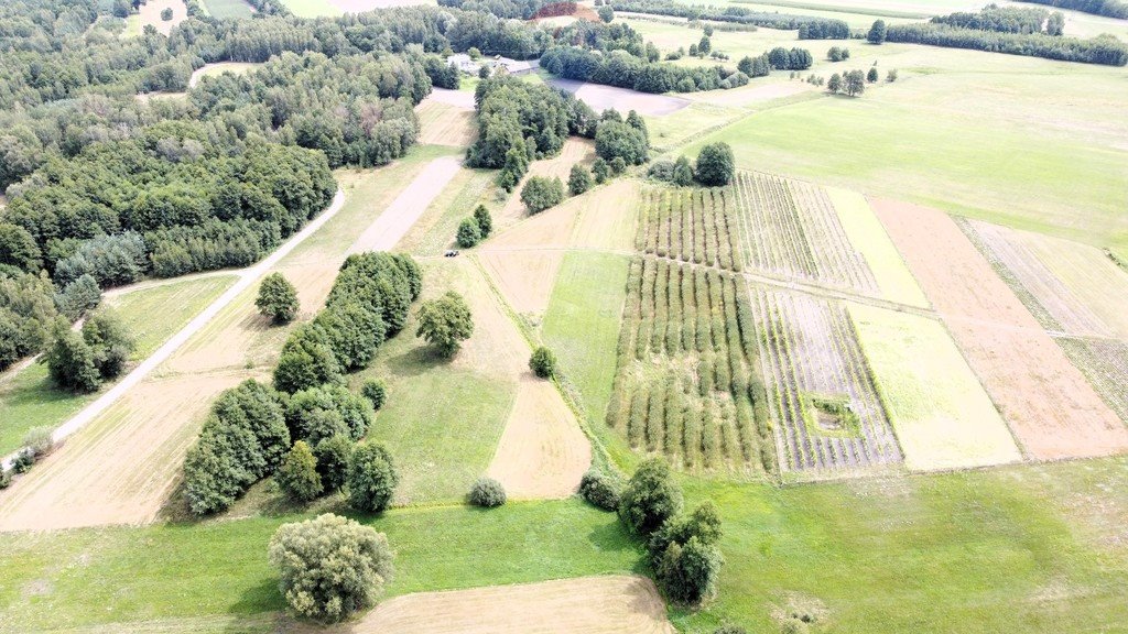 Działka budowlana na sprzedaż Ostrownica  4 500m2 Foto 4