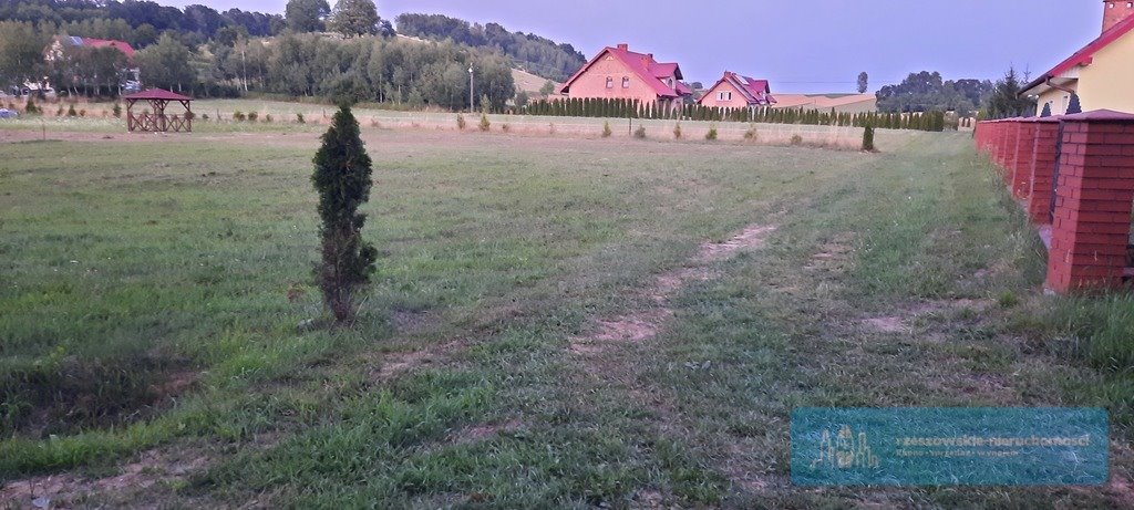 Działka budowlana na sprzedaż Gogołów  1 450m2 Foto 4