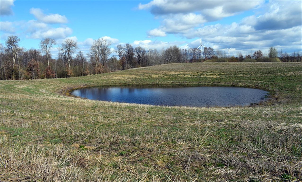 Działka inna na sprzedaż Drawsko Pomorskie, Kłosy  195 200m2 Foto 1