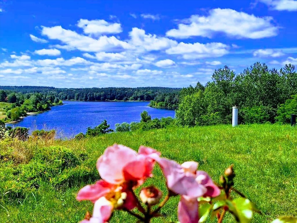 Dom na sprzedaż Żydowo  263m2 Foto 5