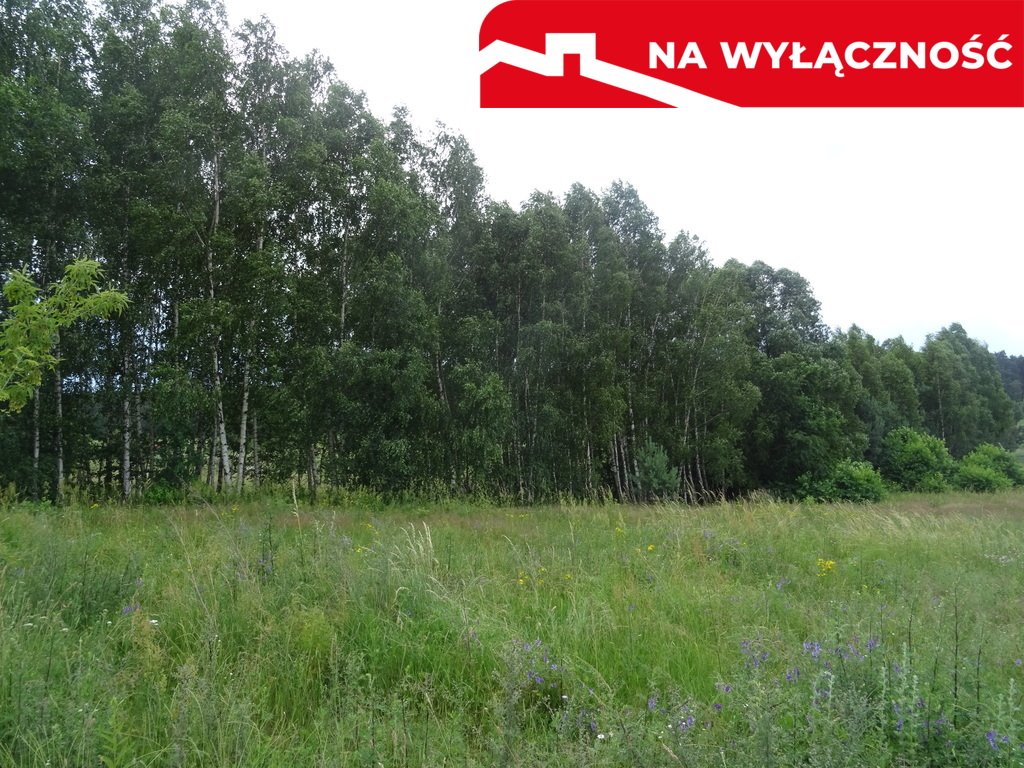 Działka budowlana na sprzedaż Kałek  7 232m2 Foto 3