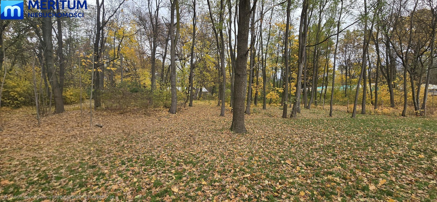Malownicza działka leśna z prawem zabudowy w Podkowie Leśnej Podkowa Leśna  2 590m2 Foto 1