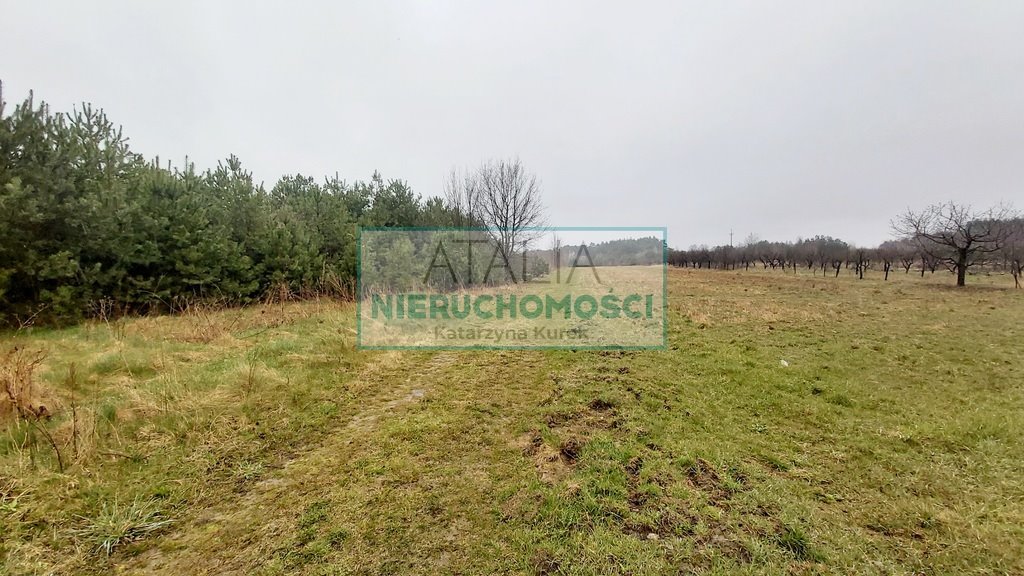 Działki inwestycyjne 35 000 m² z zjazdem z S8 (Mazowieckie) Adamowice  35 000m2 Foto 1