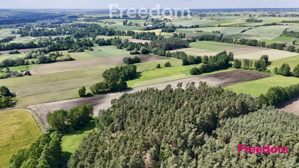 Działka budowlana na sprzedaż Rzęczkowo  3 117m2 Foto 6