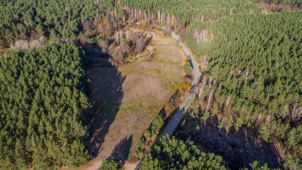 Działka rekreacyjna na sprzedaż Grądy Szlacheckie  15 400m2 Foto 4