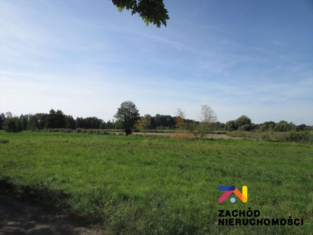 Działka budowlana na sprzedaż Książ Śląski  2 994m2 Foto 1