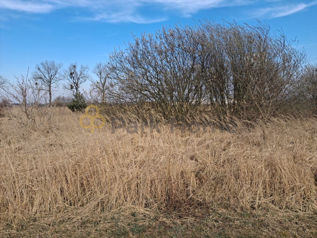 Działka budowlana na sprzedaż Bełchatów  831m2 Foto 1