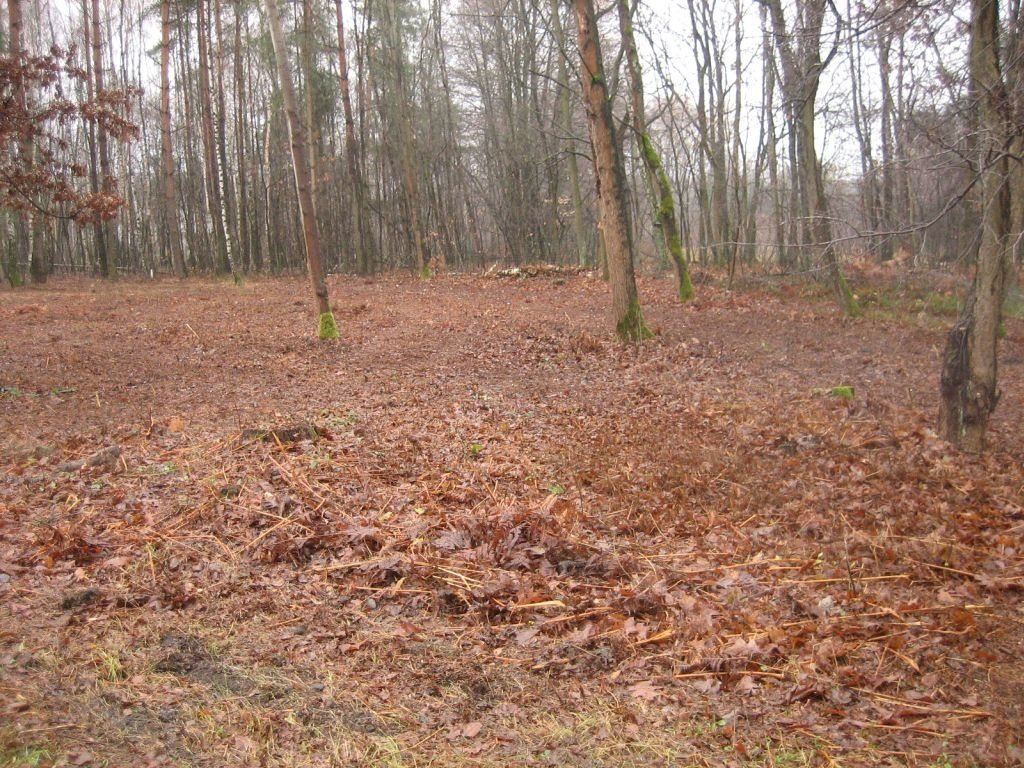 Działka budowlana na sprzedaż Aleksandrów Łódzki, obok Rezerwatu Przyrody  1 688m2 Foto 10