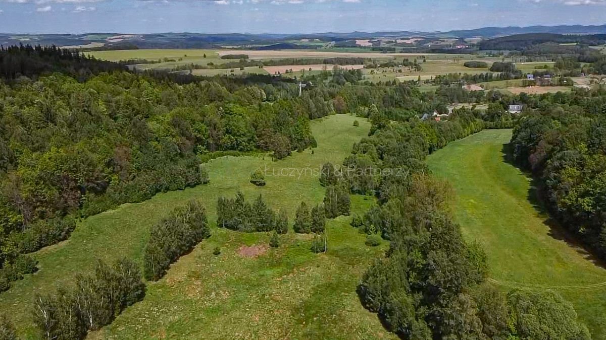 Działka rolna na sprzedaż Kromnów  49 500m2 Foto 6