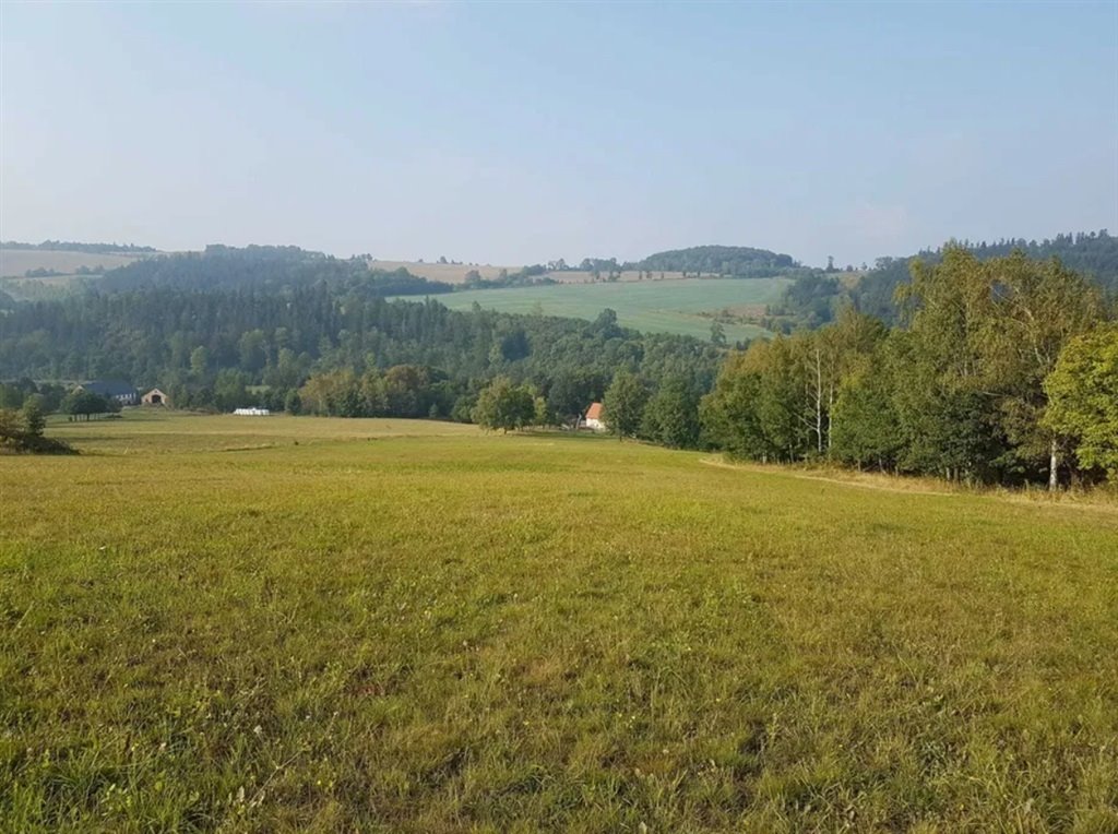 Działka rolna 63 400 m2 z planem na magazyny i rekreację Janówek  63 400m2 Foto 1