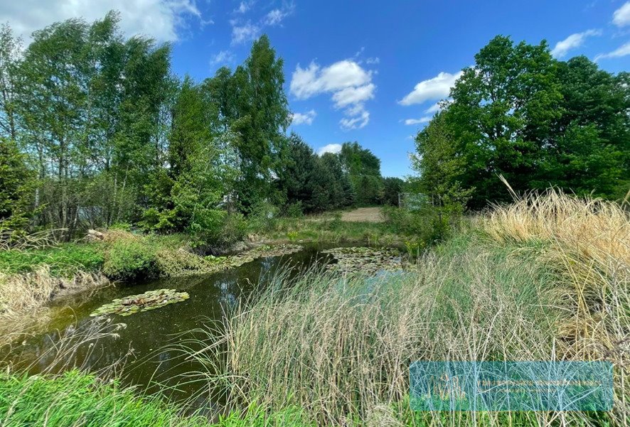 Działka budowlana na sprzedaż Widełka  3 303m2 Foto 3