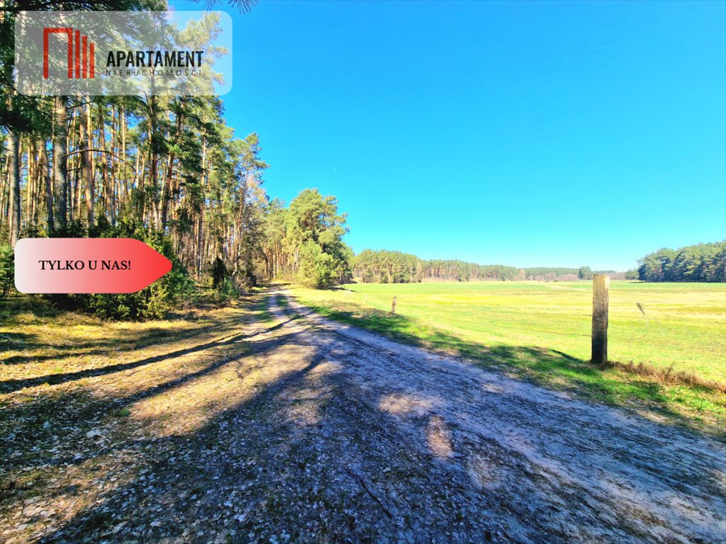 Urokliwe siedlisko 119 m² z budynkami gospodarczymi - polecam! Miedzno  119m2 Foto 1