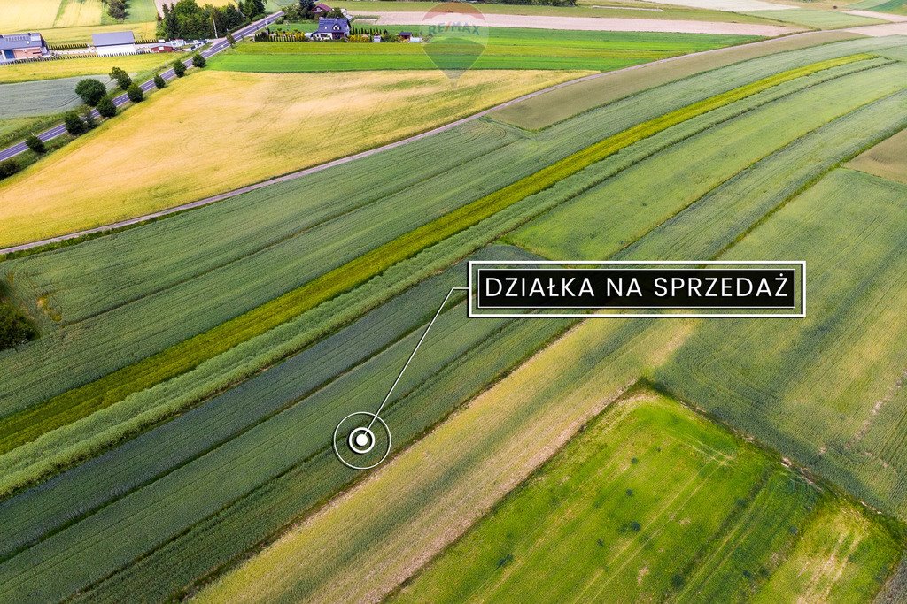 Działka inna na sprzedaż Skała  8 350m2 Foto 4