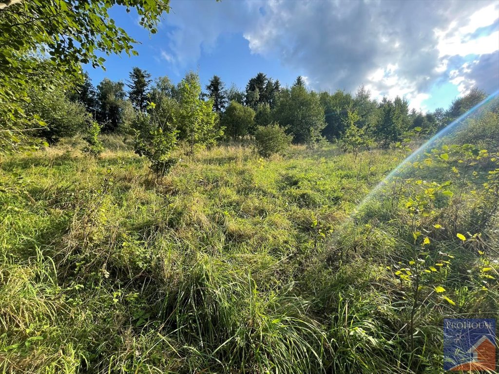 Działka rolna na sprzedaż Przyszowa  4 958m2 Foto 17