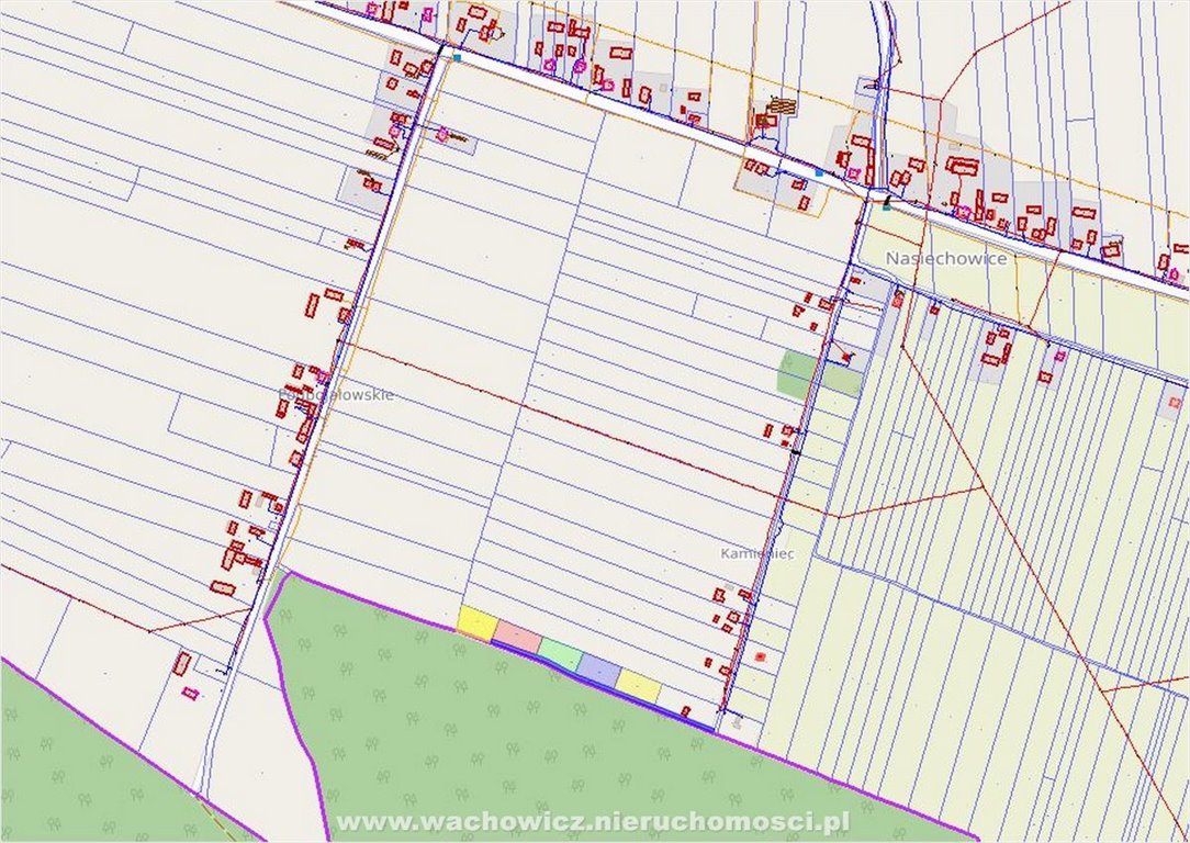 Działka budowlana na sprzedaż Nasiechowice  1 500m2 Foto 6