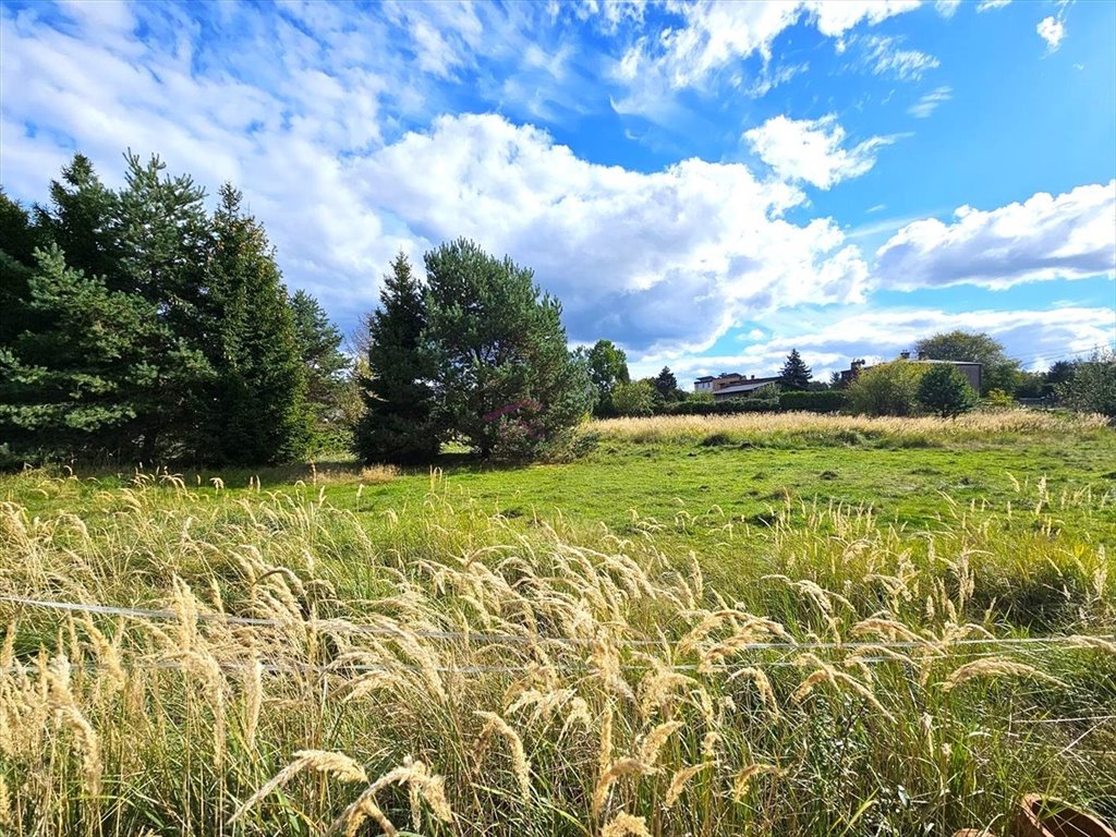 Działka budowlana na sprzedaż Mikołów, Kamionka, Paprotek  1 734m2 Foto 3