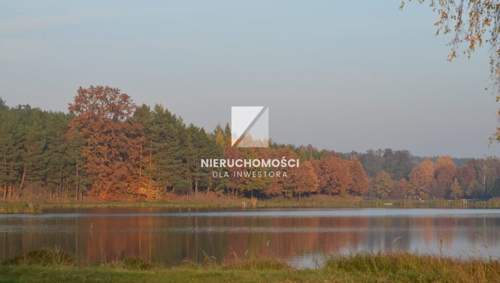 Działka 4000 m² z widokiem na staw i las w Wełminie Wełmin  4 000m2 Foto 1