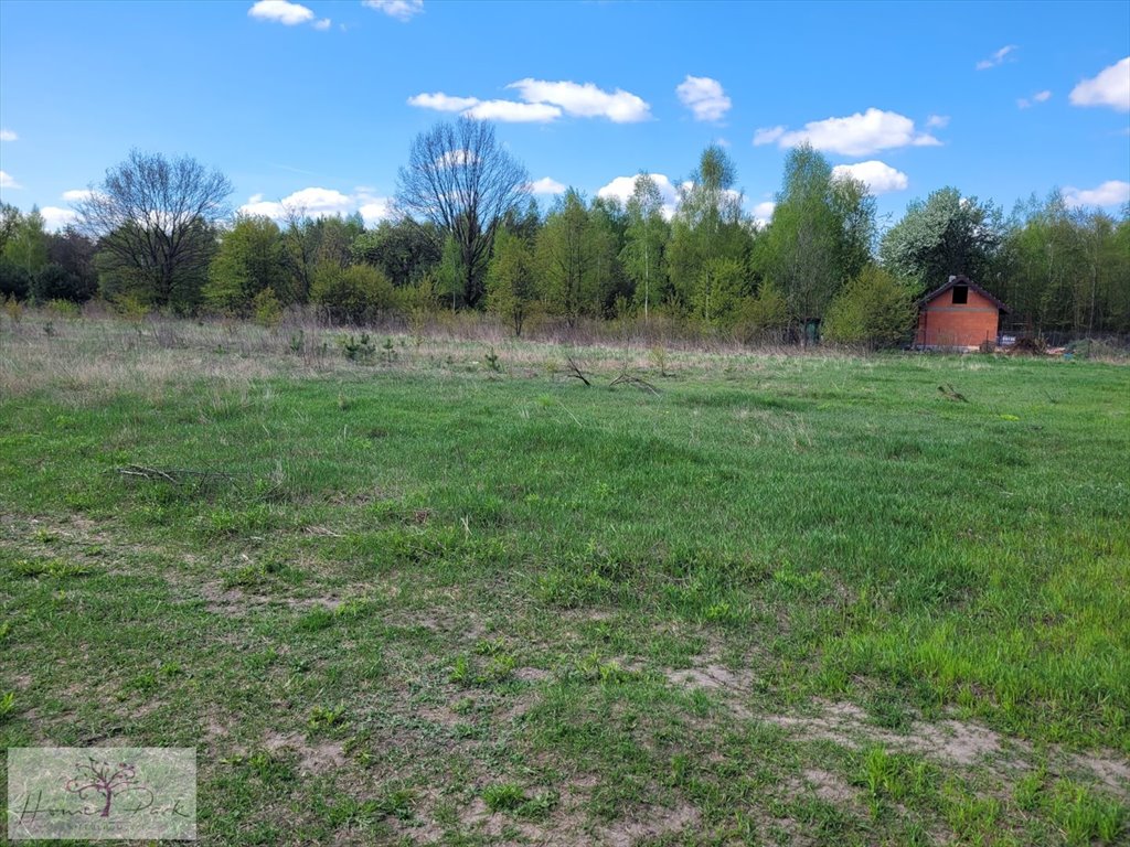 Działka inna na sprzedaż Jedlicze A  1 000m2 Foto 3