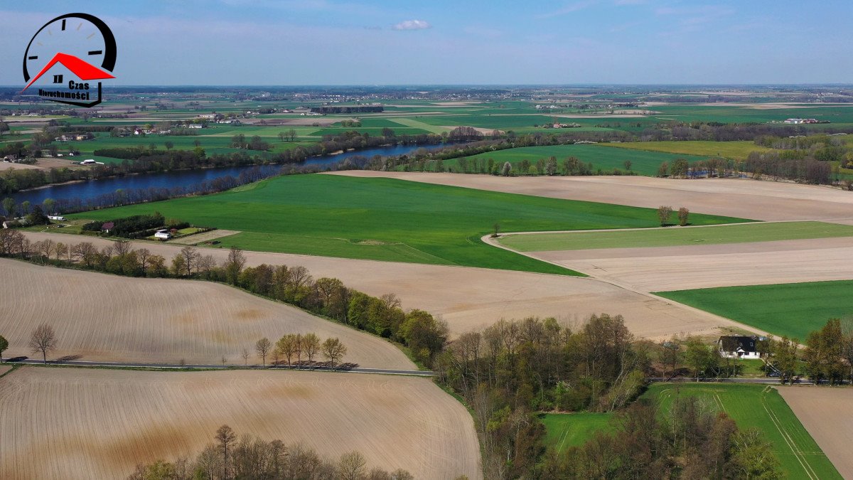 Działka budowlana na sprzedaż Skórki  1 560m2 Foto 5