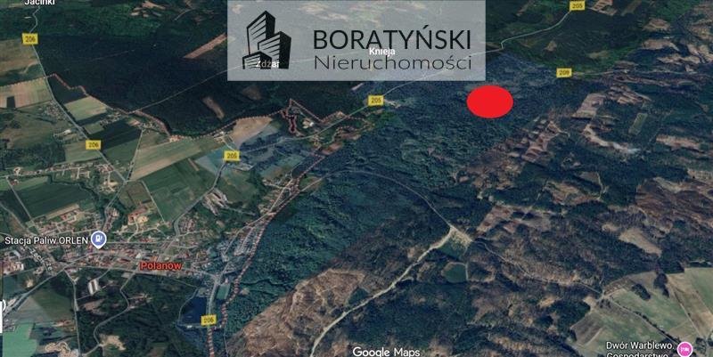 Działka 33 200 m² nad rzeką Grabowa (las, woda, ryby) Wielin, Nad rzeką Grabowa  33 200m2 Foto 1