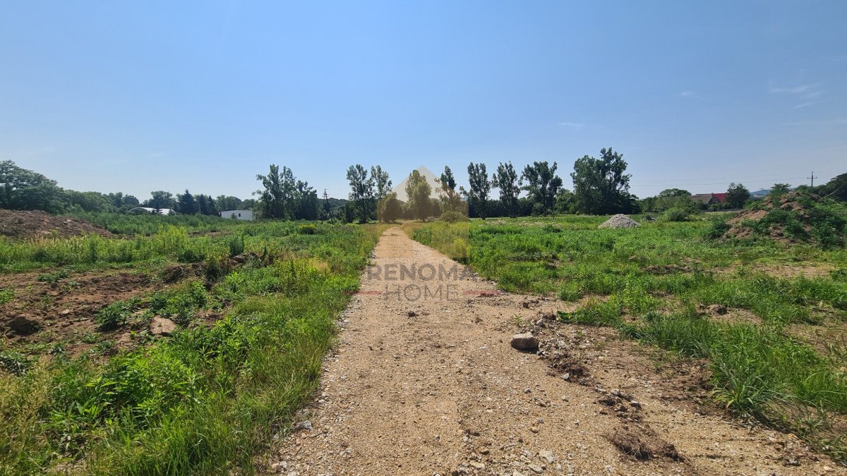 Działka inwestycyjna 50 147 m² pod zabudowę w Chwaliszowie - polecam! Chwaliszów  50 147m2 Foto 1