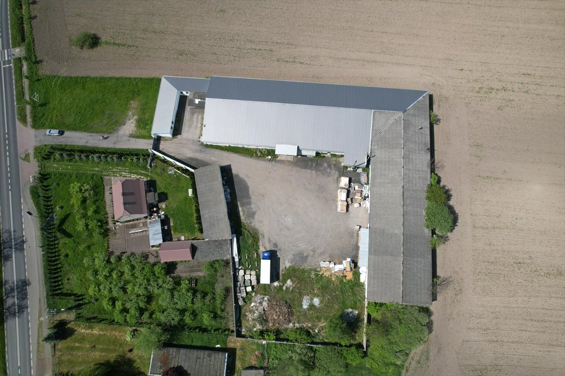 Lokal użytkowy na wynajem Osowo Nowe  2 150m2 Foto 8