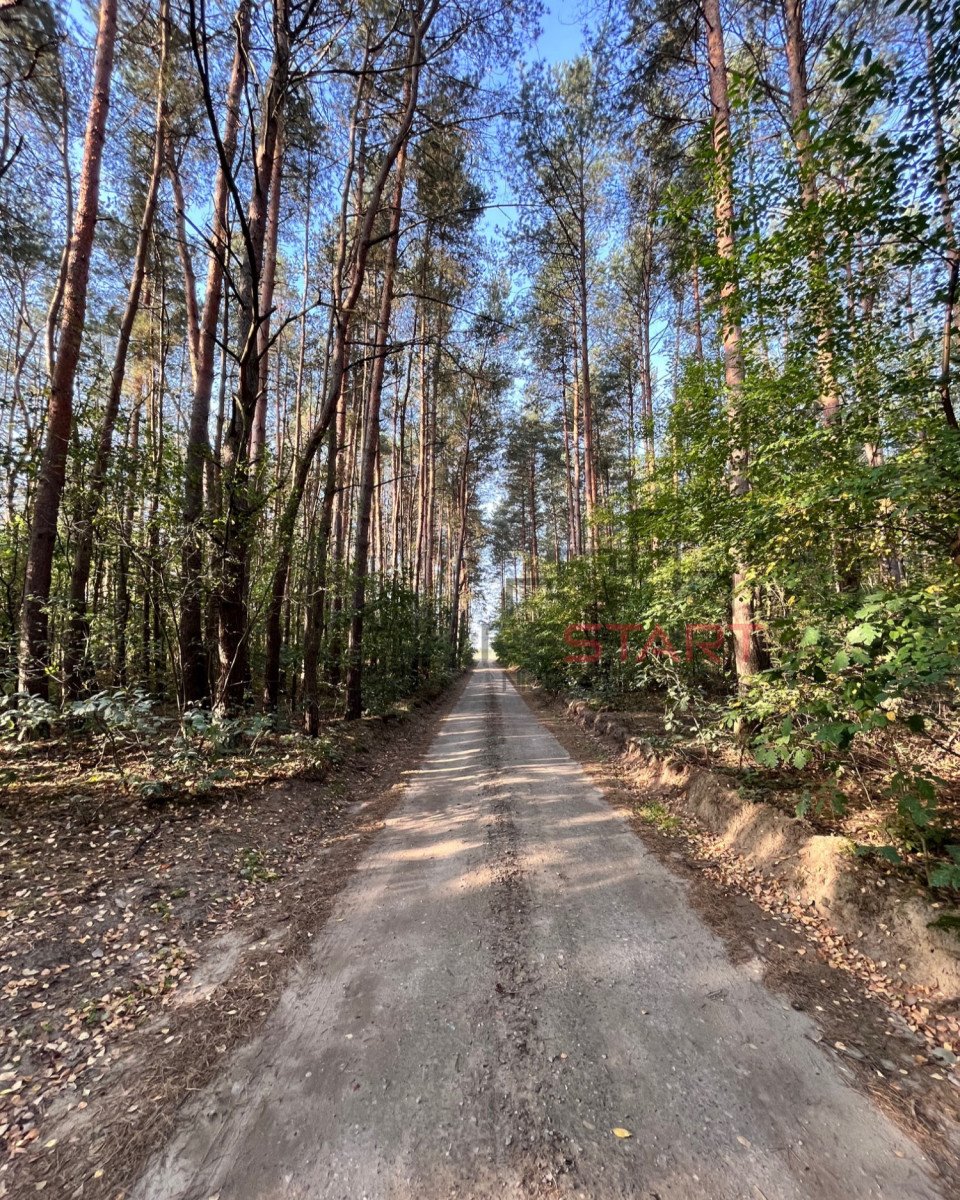 Działka rolna na sprzedaż Nosy  28 400m2 Foto 9